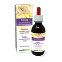 Naturalma Ginger (Zingiber officinalis) Rhizome Alkohol-free Tinkture - 4 fl oz Tekoči ekstrakt v kapljicah - Zeliščni dodatek - Vegan