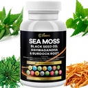 Sea Moss 3000mg olje črnega semena 2000mg Ashwagandha 1000mg Bladderwrack 1000mg Kurkuma 1000mg Burdock 1000mg Vitamin C & D3 Starejša manuka Dandelion Rumena dok klorofil ACV