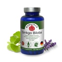 Ginkgo Biloba, Memory, Focus & Brain Function Support, Antioksidant-Rich, Na bazi rastlin, GMP, Herbal Nootropic Vegetarian kapsule, 120 Število (Pack po 1)