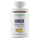 Paradise Zelišča Premium Ginger Extract za digestivno zdravje, Super Potent, Ultra Pure, Vegan, Non-GMO, Gluten brezplačno, 60 vegetarijanske kapsule