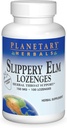 Planetarna zelišča Slippery Elm Jagoda Lozenges, Herbal Throat Support, 100 Lozenge