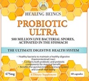 Original Probiotic Ultra- (Doctor Formulirane) Celovit Prebavne in črevesne zdravstvene podpore tako pred-biotski in Pro-Biotski. Podpira tudi avtoimunsko povezano dobro počutje