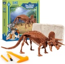 Geoworld Triceratops Dino Dig Kit – Sestavite 8-inch avtentični Dinosaur Skeleton Model – Ultimate STEM učne izkušnje za otroke starosti 6+