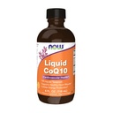 Zdaj dopolnila, CoQ10 Tekoči, 100 mg na Teasporn, z vitamini koencima B, sladkana z ksilitolom, 4-ounce