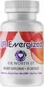 UR Energizirane kapsule - dodatek z Reishi, Chaga, zelena kava in čaj Extract - Fokus, jasnost in energija za aktivne življenjske sloge - 30 kapsul