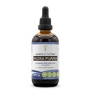 Skrivnosti tribe Muira Puama Tinkture Tekoči ekstrakt brez alkohola, Muira Puama (Ptychopetalum Olacoides) Posušene bark (4 FL OZ)