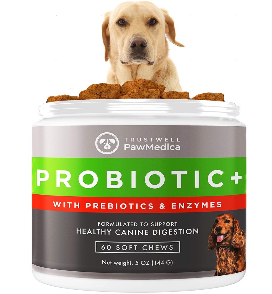 PawMedica Pasji probiotiki in prebavni encimi, probiotiki za pse, izdelani v ZDA, hišni probiotični žveči za pse, prebiotiki in probiotični pes Prebavivna podpora, probiotične terapije - 60 pes Probiotični žveči