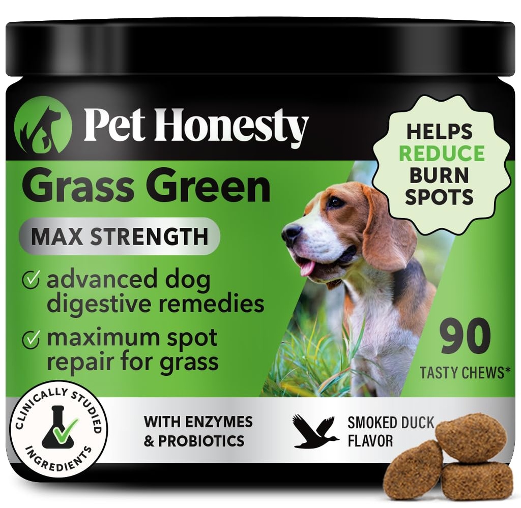 Grass Green Največja moč žveči za pse – Premium pasjo seč Lawn Spot Saver dodatek – Podpira zdravo prebavo, Gut & urinarno zdravje s probiotiki, DL-metionin & Yucca (90ct Duck Flavor)