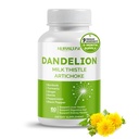 Dandelion mleko Thistle Artichoke Burdock kurbirski - podpora zdravje jeter, podpora Prebavna pomoč - Made in preizkušen v ZDA