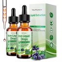2 Pack Tekoči železovi dodatek za ženske moške in otroke, Veganske železove kapljice z vitaminom C D, B12, B-kompleks, visoke jakosti tekočine z multivitaminom za anemijo, energijska podpora, Magnezij železa Gentle