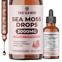 TrueSeaMoss Irish Sea Moss Kapljice - 5X Močnejši od gela Sea Moss - 92+ Eterični minerali - s Spirulina Powder, Burdock Root & Black Cumin - 2 Fl Oz (60ml) - Jagodna aroma