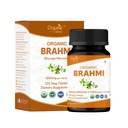 Brahmi 120 tablet – USDA Organic Bacopa Monnieri dodatek – podpira fokus, mir in spomin – zeliščni nootropični*