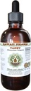 Tansy Alkohol-free Liquid Extract, Organic Tansy (Tanacetum Vulgare) Suhi list in cvetlični vrhovi Gliceritni naravni zeliščni dodatek, Havaji Pharm, ZDA 2 fl.oz