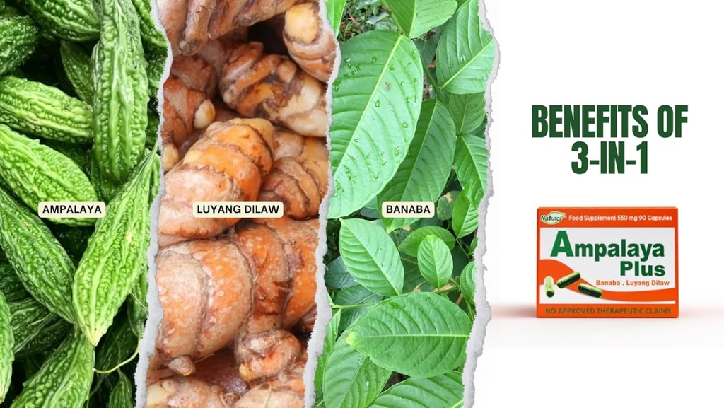 Ampalaya Plus 550mg 90 Kapsule - pakiranje po 1 - z Banaba, Kurkuma Ginger in Bitter Melon by Ampalaya Plus - Halal Herbal Supplements