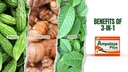 Ampalaya Plus 550mg 90 Kapsule - pakiranje po 1 - z Banaba, Kurkuma Ginger in Bitter Melon by Ampalaya Plus - Halal Herbal Supplements
