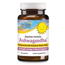 SEVERNI AMERIŠKI HERB & SPICE Ashwagandha 60 kap