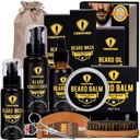 Ceenwes nadgrajen komplet za brade - balzam, olje, čopič, Comb, balzam, škarje, shranjevanje vrečke za brade in Mustache Trimming, popolno moško darilo