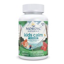 Nordic Naturals Kids Calm Gumies - Jagodna lubenica - 60 Gumies - Magnezij L-Theanine dodatek - Umirjanje za otroke - Podpora sprostitve - Do 60 Serving