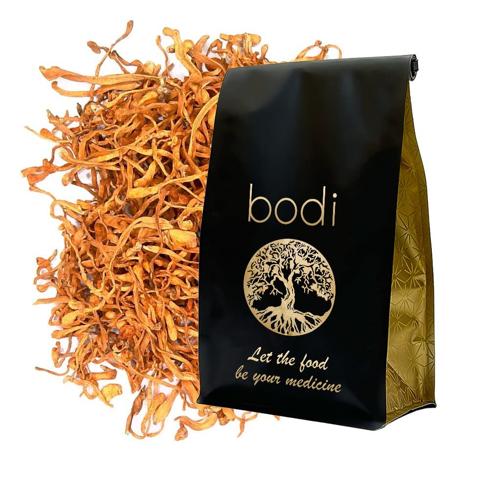 bodi : Cordyceps goba cela posušena 
