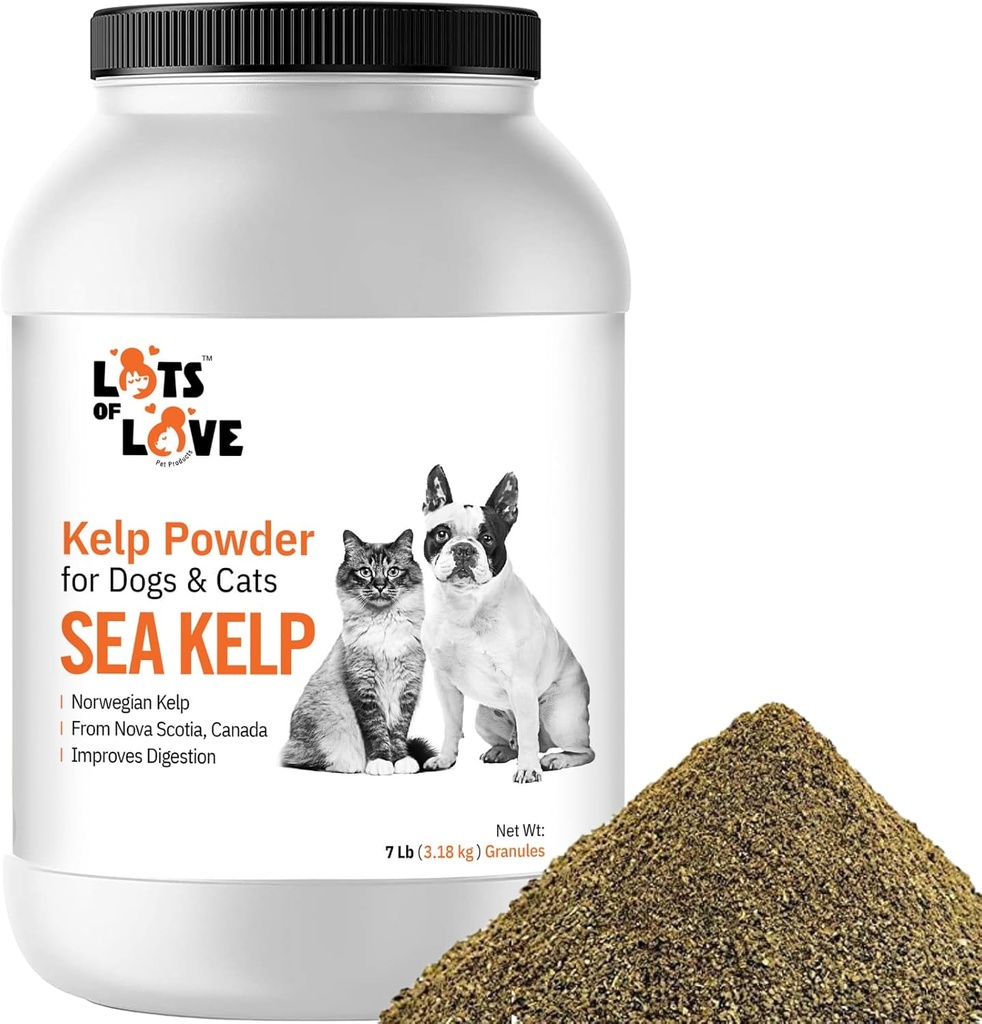 Organic Sea Kelp Powder (7 Pounds, 3.2 KG), Jod in ščitnica podpora za pse in mačke, norveški Kelp Powder dodatek z veliko ljubezni