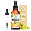 Botanica Choice Mullein Leaf Liquid Extract, Brez alkohola, Gluten Free, Tradicionalna dihalna podpora 1 Fl. Oz.
