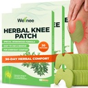Wellnee Original Zeliščno koleno obliž - Wellknee Plaster za podporo kolenu in bolečine mišic - Največja moč za začasno olajšavo - Lepljiva toplotna obliži izdelani z naravnimi zelišči za dobro počutje (30 Pads)