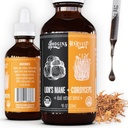 Hodgins Harvest Organic Lion's Mane + Cordyceps Tinkture 