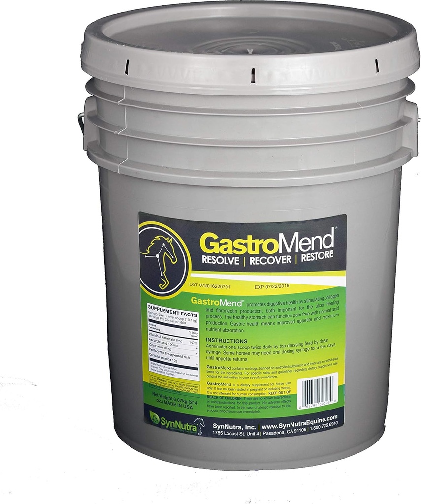 SynNutra GastroMend (GastroMend - 600 odmerek Bucket) 100% naravna