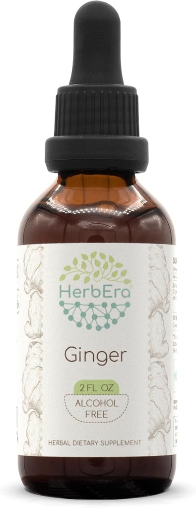 Herbera Ginger B60 Brezalkoholni zeliščni ekstrakt Tinktura, superkoncentrirana ingver (Zingiber officinale) 2 fl