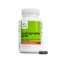 Terry Seveda Andrographis EP80 Extra Jakost - Zdravje možganov in Imunska podpora - Skupni zdravstveni dodatek k mobilnosti pomoči - Veganski adaptogeni dodatek za podporo energetiki in jetrih - 60 kapsul