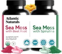 Atlantic Naturals Sea Moss Superfood Bundel - Morski moss z peso Root & Spirulina kapsule - obramba podpora, pretok krvi, skupno zdravje in železo - 240 kapsul (2 x 120 ct)