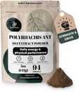 Jungle Powders Črna mravlja ekstrakt prahu 30:1 Koncentracija, 94 Servings - 5 Unces Pure Polyrhachis Črna mravlja dodatek, Filler Free Changbai Mountain Ant Tradicionalna moška zdravstvena podpora za vožnjo