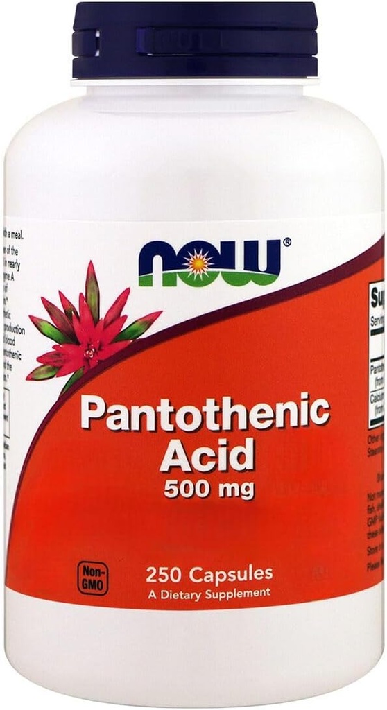 Hrana, pantotenska kislina, 500 mg, 250 kapsul