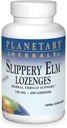 PLANETARNI HERBALCI Spolzki Elm Lozenges, brez arome, 200 Štetje