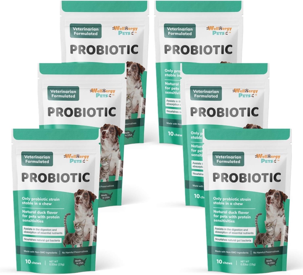 Wellnergy Daily Probiotic & Prebiotics Soft Chew za pse in mačke - Prebavna podpora za drisko, zaprtje, upset želodec, prebavne motnje in plin - pomaga prebave, alergije kože in imunskega zdravja 60ct