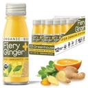 Greenhouse Juice Organic Fiery ingver Wellness Shots 12 Count 60ml steklene steklenice, Vegan & Gluten-free