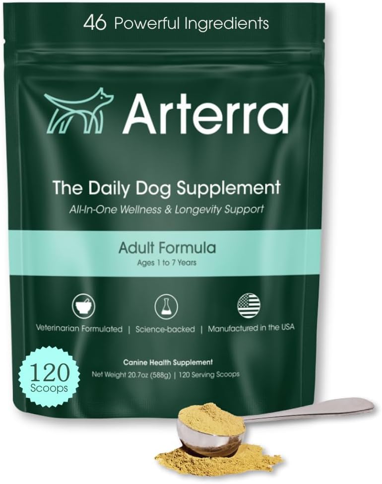 Adult Dog Powder Supplement & Food Topper – 46 Sestavine za Gut, Imune & Brain Health – Daily Longevity Multivitamin za celotno telo Wellness 