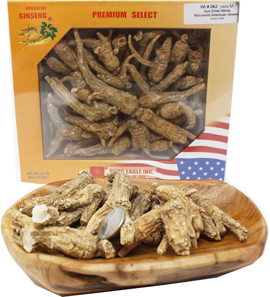 DOL Ročno izbran ameriški Wisconsin Gojiti ginseng koren Medium&Large 