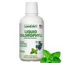 Kopenska umetnost - Tekoči klorofil Mint – Hladno ekstrahirana iz divjih ne-GMO Alfalfa – Natural Clorofila Liquida – Antioksidant - Detox dodatek – Boost Energy – Alkaliziranje in telo Odor Nevtralizator – 16 floz