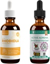 Rejuvica Zdravje Aktivna Rhodiola + Aktivna nadledvična - Podpora Energija + Stres - Tekoča dostava za boljšo absorpcijo - Rhodiola, Ashwagandha, Sveti Basil & Več!