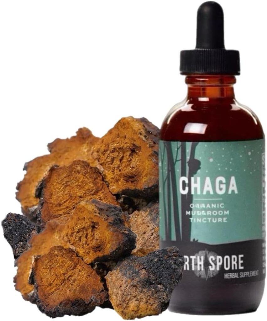 Tinktura iz gob North Spore Chaga 