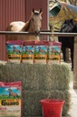 Horse Guard 4.6 lb, Equine Vitamin Mineral dodatek z organskim selenom in vitaminom E