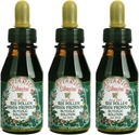 3 Steklenice Apiario Silvestre Bee Pollen & Brazil Green Bee Propolis Liquid - Glycolic ekstrakt-Non Alcoholic, Wax Free, brez sladkorja
