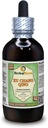 Xu Chang Qing, Paniculate Lamptywort (Cynanchum Paniculatum) Glicerit, posušen koren brez alkohola tekoči ekstrakt (Brand Name: HerbalTerra, Ponosno Made in USA) 4 fl.oz (120 ml)