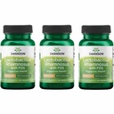 Swanson Lactobacillus Rhamnosus z FOS - Probiotični dodatek podpira prebavno zdravje - 5 milijard CFU - spodbuja GI Tract zdravje med potovanjem - (60 Veggie Caps) 3 Pack