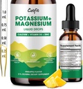 Kalijev Magnezij Glicinat dopolnilo-visoka absorpcija Magnezijev kompleks Tekoča kapljica s kalcij, kalij, Vitamin D3 & cink za spanje,Leg Cramps, mišice in energija, sladkor brez&Vegan 2 Fl Oz