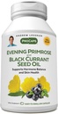 ANDREW LESSMAN Evening Primrose and Black Currant Seed Oil 60 Mehkužci - Pomirja fizično nelagodje in razpoloženja Swings Zaradi menstrualnega cikla, z gama-linolensko, Omega-6 maščobne kisline, brez dodatkov