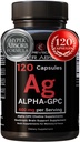 Alpha GPC Supplement & BioPerin za hiper Absorpcijo - 120 Count, Alpha-GPC 600mg na serviranje - Nootropiki za spomin, Fokus, Energija, & Drive - Choline dopolnila za povečanje acetilholin, Made in USA