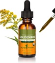 Herb Pharm Certified Organic Goldenrod Tekoči ekstrakt za podporo urinarnega sistema, 1 Fl Oz (Pack of 1)