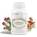 CheezhengHimalaya Rhodiola in Goji Berry dnevno dopolnilo, podpora energije, duševno mirnost, povečanje prebavljivosti, izboljšanje imunitete, izboljša uporabo kisika, tibetanskih naravnih zelišč, 90 Veggie kapsule